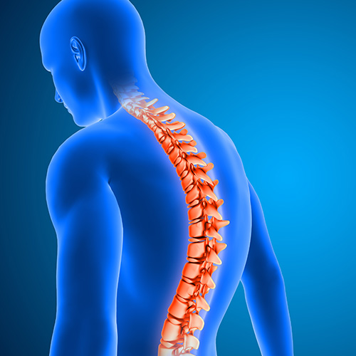 Expert Spine Consultation